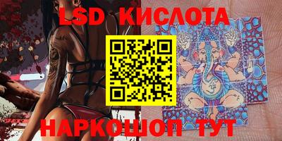 spice Кингисепп