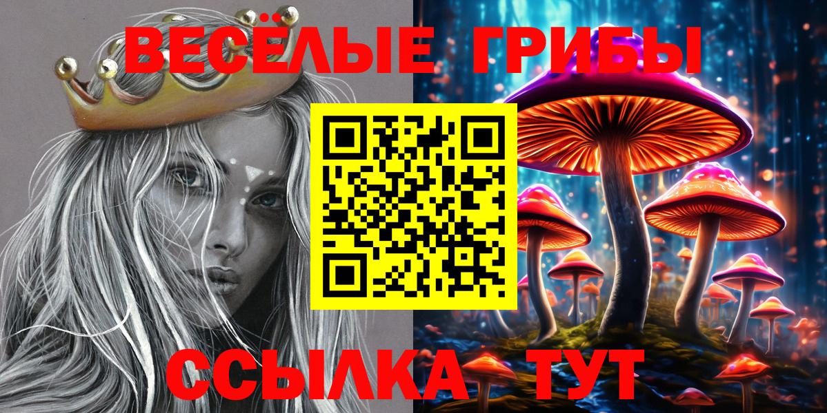 Галлюциногенные грибы Magic Shrooms  Вход с VPN  купить наркоту  Псилоцибиновые грибы Psilocybine cubensis  Сунжа 